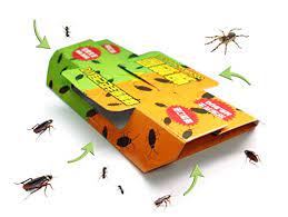 A great guide for anyone needing help with pest control related issues. Mr Bug Cockroach Trap For Home Pest Control Kill Roaches Ants Spiders And Other Bugs Insects Eco Non Toxic 10 Sets Buy Online In Bermuda At Bermuda Desertcart Com Productid 22628864