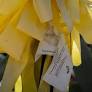 Despite 'tremendous sadness,' Tucson area moves on as Guthrie search stalls
