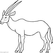 Click on the image you want to color, this will open page displaying large picture you selected. Tibetan Antelope Coloring Page Coloringall