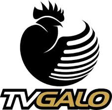 Set with a burning passion to extinguish all that is wrong, you can expect galo to rush in first to the scene of an emergency. Tv Galo Wikipedia