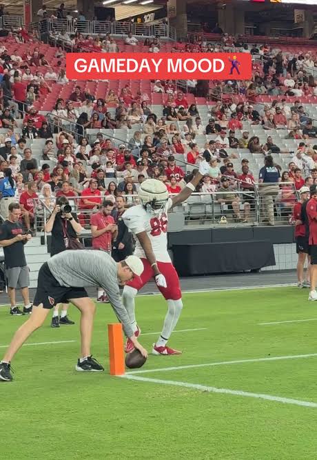 Gameday Mood: AZ Cardinals Dance Moves for NFL Gameday