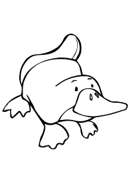 You need to use this picture for backgrounds on mobile with hd. Coloring Pages Coloring Pages Platypus Printable For Kids Adults Free