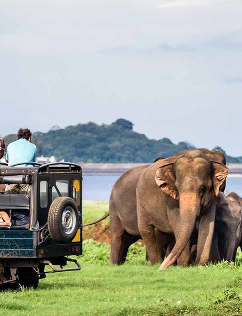 Minivan taxi Sri Lanka group transfer - family vacation