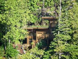 I would like to show my friends and family the beautiful world around me. Little House In The Forest On The Shore Bild Von He Tin Kis Lodge Vancouver Island Tripadvisor
