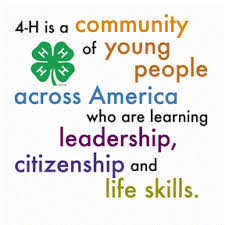 This Is The Best Definition Of 4 H I Have Read Hope Everyone Stops By And Suports The Kids Who Have Been Working So Hard On Thier 4h 4 H Club 4 H Clover 4 H
