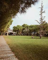 gunesli ve buz gibi bir gunden merhaba dolu dolu gecen haftasonunun ardindan nihayet masanin basina oturdum mis g country roads dolores park instagram
