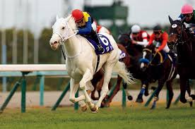 May 20, 2021 · オークスで無敗の牝馬2冠に挑むソダシ(写真左) jraは20日、5月23日に東京競馬場で行われるオークス(3歳牝・gi・芝2400m)に出走する各馬の調教後馬体. Number Ismcdn Jp Mwimgs 5 7 Img 57a7f1d080f20