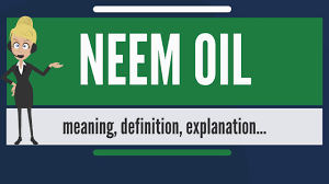 What Is Neem Oil What Does Neem Oil Mean Neem Oil Meaning Definition Explanation Youtube