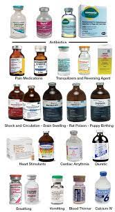 75 Bullet Journal Ideas Vet Medicine Vet Tech School Vet Tech Student