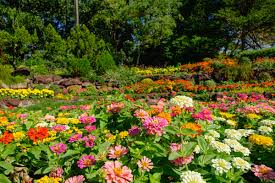 Before it's news on telegram. April Showers Bring May Flowers Benchmark Landscapebenchmark Landscape
