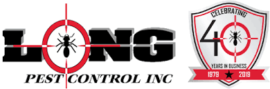 Physical location address (no mail received here) 4117 s meridian ste a puyallup wa 98373. Pest Control Carpenter Ant Exterminators Companies Tacoma Federal Way University Place Wa Crawl Space Cleaning Repair Restoration Contractors Puyallup