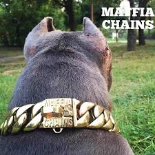 The following breeds are not permitted. Metal Stainless Steel Dog Collar Steel Chain Martingale High End Custom Show Collar Bully Dogs Doberman Adj Dog Chain Personalized Dog Collars Dog Chain Collar