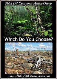 Products That Contain Palm Oil Save Planet Earth Save Earth Save Our Earth