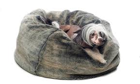 Bean bags can be pretty shady. Faux Fur Dog Beds Designer Dog Beds Rockstar Puppy