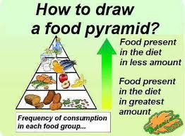 Choose from 500 different sets of flashcards about food pyramid on quizlet. Food Pyramid Explained For Children Botanical Online