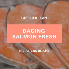 Mengayuh basikal selama 15 minit nota: Ready 62 813 8630 2450 Ikan Salmon Goreng Mentega Ready 62 813 8630 2450 Kepala Kakap Merah Beku