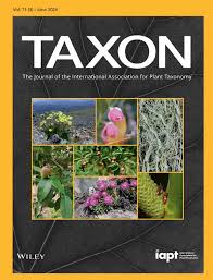 Image result for Rytigynia bridsoniae