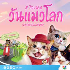 International cat day) เป็นวันสำคัญซึ่งตรงกับวันที่ 8 สิงหาคม ของทุกปี กองทุนระหว่างประเทศเพื่อสวัสดิการสัตว์ (international fund for animal welfare) กำหนดขึ้น. Lookaside Fbsbx Com Lookaside Crawler Media Me