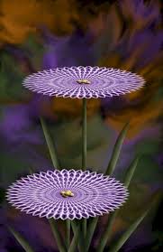 Pin On Flowers