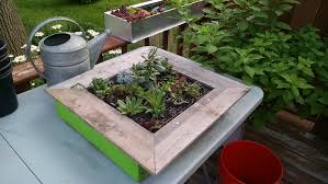 How to make your own vertical succulent garden. How To Build A Vertical Succulent Garden