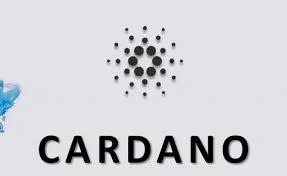 Search, discover and share your favorite cardano gifs. What Cardano Is Trying To Achieve Lets Know Here Steemit