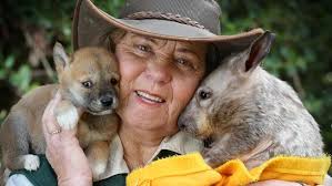 A bridge never too far