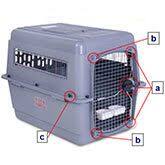 Although all coronaviruses are related, they are not all the same virus. Travelling With Pets In The Cabin Hold Or Cargo Klm Com