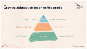 Coffee Selection Guide How To Choose The Beans That Are Right For Me Five Senses Coffee