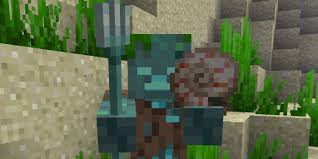The attracting is often done with villager bait and the funneling is often accomplished with bubble columns. Minecraft How To Get Nautilus Shells Game Rant