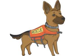 German shepherd puppy rescue colorado. German Shepherd Rescues German Shepherd Country