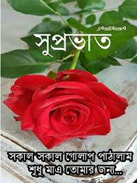 Pin By Monoranjansardar On শ ভ সক ল Good Morning Photos Good Morning Images Morning Images