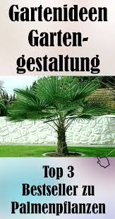Palmen Pflanzen Aufzucht Und Pflege Von Mediterranen Und Exotischen Pflanzen Haben Sich Zu Einem Ganz Besonderen Hobby Palmen Pflanzen Pflanzen Palmen Garten