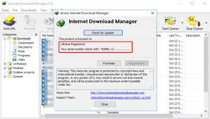 Internet download manager is the option of many, when it has to do with increasing download speeds up to 5x. Cracksole Com Wp Content Uploads 2020 10 Idm 6