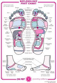 48 Prototypal Reflexology For Fertility Chart