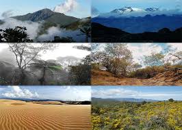 Bolívar es una de las regiones más frías en venezuela con una temperatura máxima diaria promedio de solo 31 grados. La Biodiversidad En Venezuela Unas De Las Mejores En El Mundo