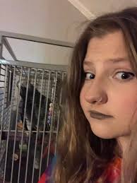 Any tips to get a level 40 bird early in the game?