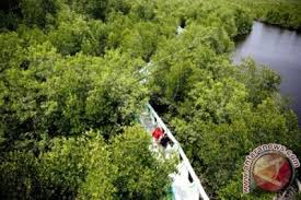 Namun, dari luas mangrove tersebut, yang masuk kawasan lindung berdasarkan surat keputusan menteri lingkungan hidup dan kehutanan nomor. Rth Dan Hutan Lindung Di Langsa Jadi Pilihan Liburan Idul Fitri Kanal Aceh