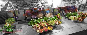Maybe you would like to learn more about one of these? Bosmat Flower Shop Queens Home Facebook