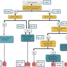 Flow Chart And Algorithm Of Patients And Phenotypes
