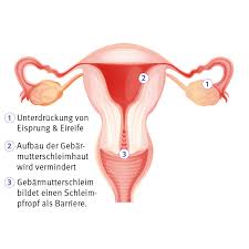→ zur übersicht der synonyme zu wirkung. Wie Wirkt Die Pille