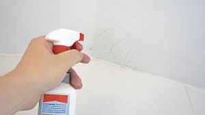 Immer häufiger setzen sich die kleinen sporen an den wänden, türen und böden ab und sorgen so für eine schnelle vermehrung, die gesundheitliche. Schimmel An Der Decke Beseitigen Anleitung Tipps Vom Maler Streichen Diybook At