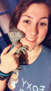 Cute Baby Blue Velociraptor Toy