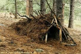 8 Basic Survival Skills That You Ought To Know Survival Shelter Wilderness Survival Outdoor Survival