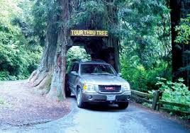 Very happy with my purchase. Pin On Cali Coast Tour