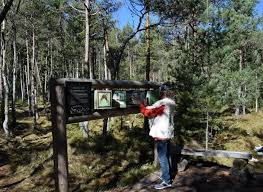 Homeschooling is legal in many countries. Homeschooling Or Worldschooling In Romania World Travel Family