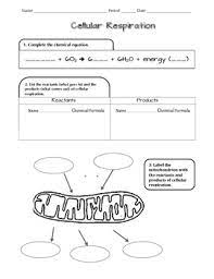 Cell Respiration Ngss Scaffolded Worksheet Cell Respiration Cellular Respiration Activities Conceptual Understanding
