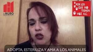 KARLA FALCON: DALE VOZ A QUIEN NO LA TIENE