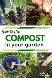 Using Compost To Nourish Your Garden Compost Garden Compost Plants