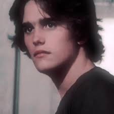 Matt Dillon Hair