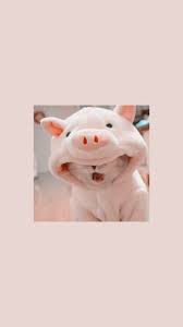 Pin Di Funny Cats